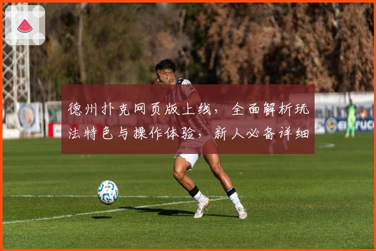 德州扑克网页版上线，全面解析玩法特色与操作体验，新人必备详细指南