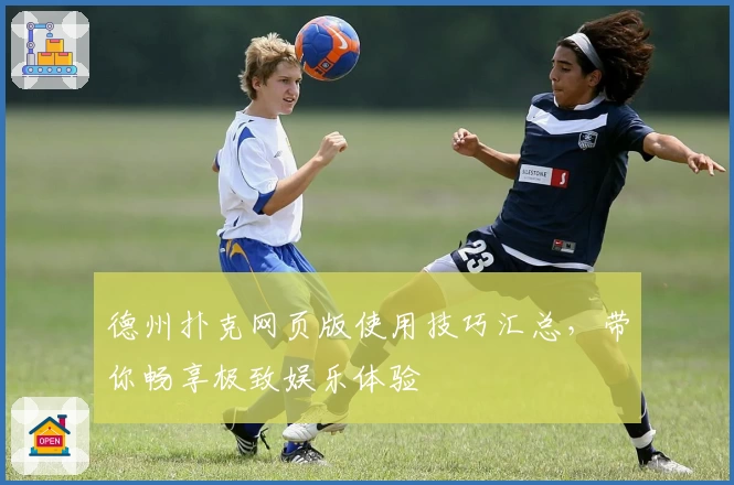 德州扑克网页版使用技巧汇总，带你畅享极致娱乐体验